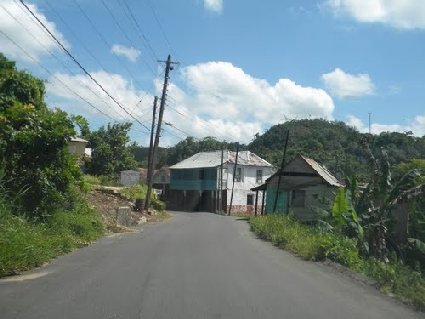 Image 04